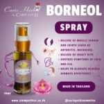Caris Herbal Borneol Spray 30ml Purple - Image 2